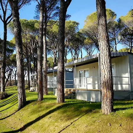 Pineta Camping Village Grado * Belvedere (Friuli Venezia Giulia)