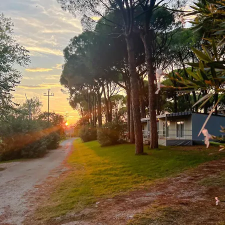 Pineta Village Grado * Belvedere (Friuli Venezia Giulia)
