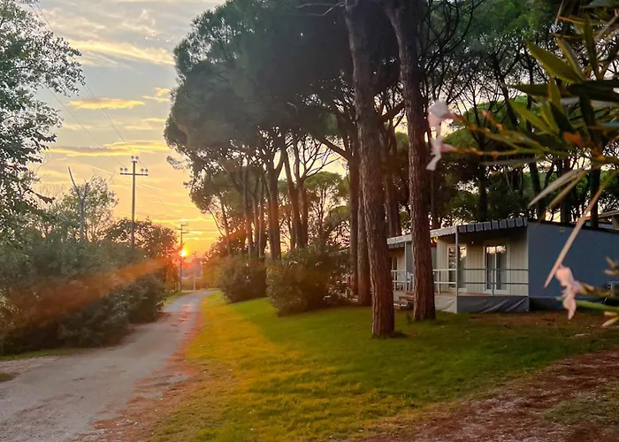 Pineta Village Grado * Belvedere (Friuli Venezia Giulia)