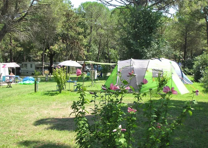 Kompleks wypoczynkowy Pineta Village Grado